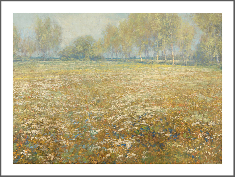 Meadow in Bloom Poster