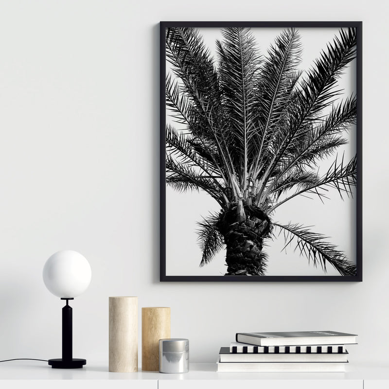 Palm Tree Black and White  - Instant Printable Digital Download (Once purchased check Junk Mail)
