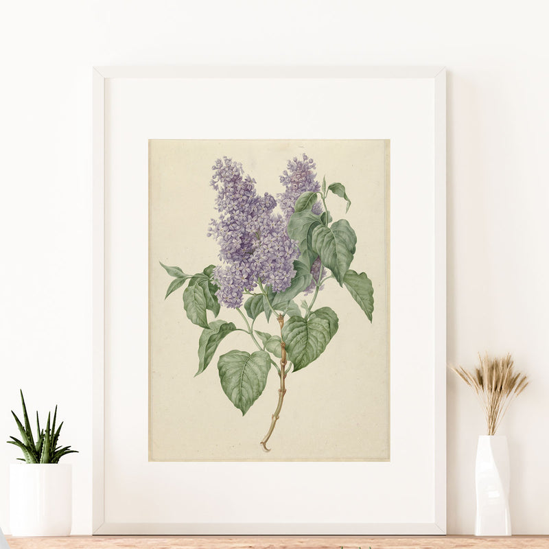 Vintage Lilac- Instant Printable Digital Download (Once purchased check Junk Mail)