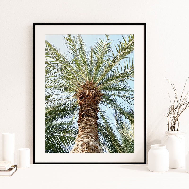 Under the Palm - Instant Printable Digital Download (Once purchased check Junk Mail)