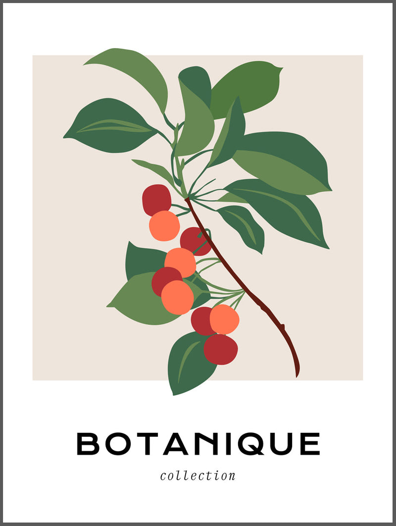 Berries Botanique Poster