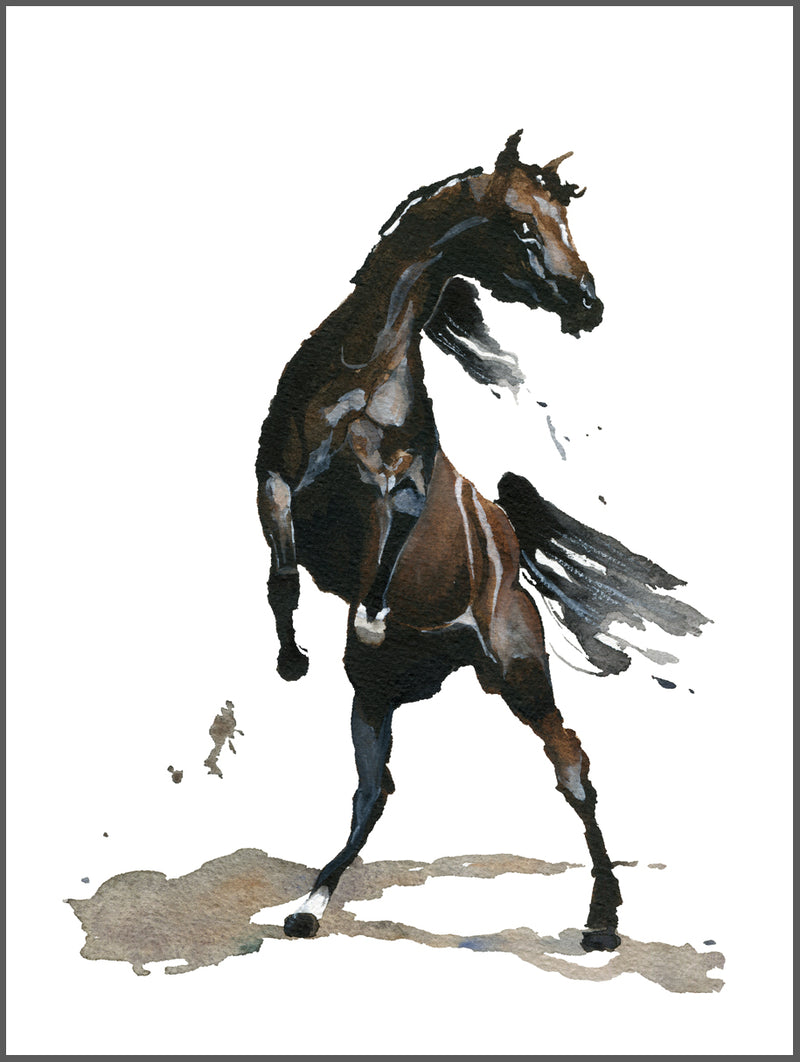 Black Horse Poster
