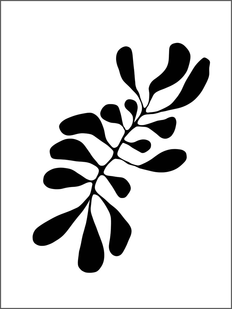 Black Plant Form Poster