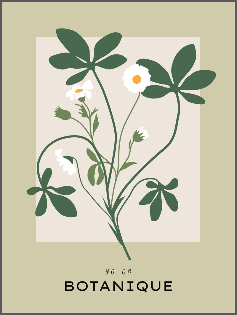 Botanique White Flowers Poster