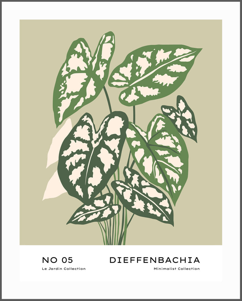 Dieffenbachia Poster