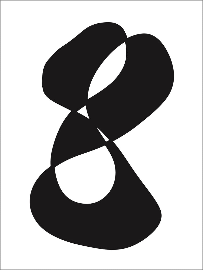 Elegant Abstraction Poster