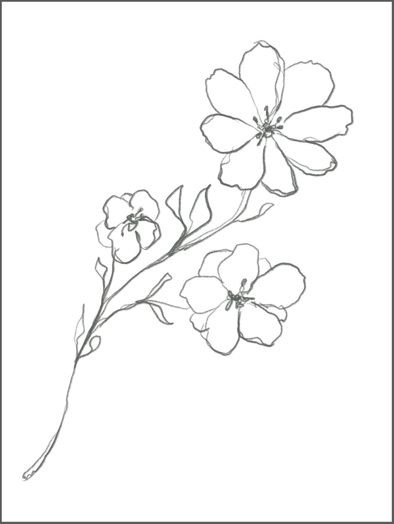 Flower Drawing Poster