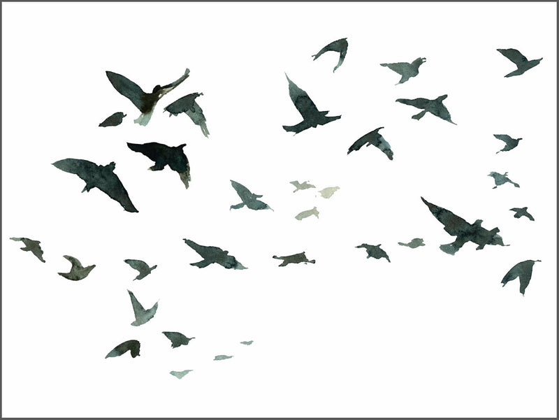 Flying Birds Poster