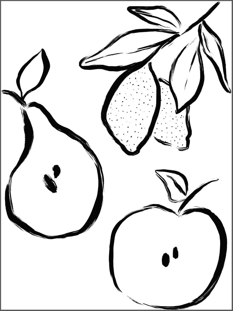 Fruit Drawing Poster