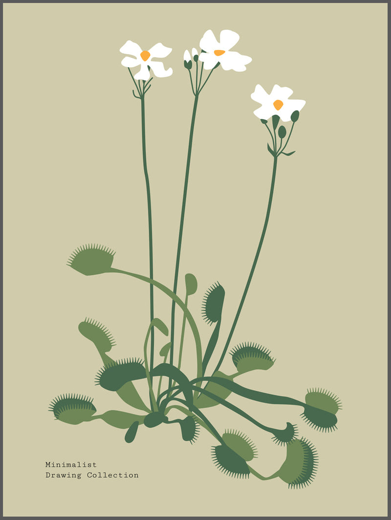 Marsh Flower Poster