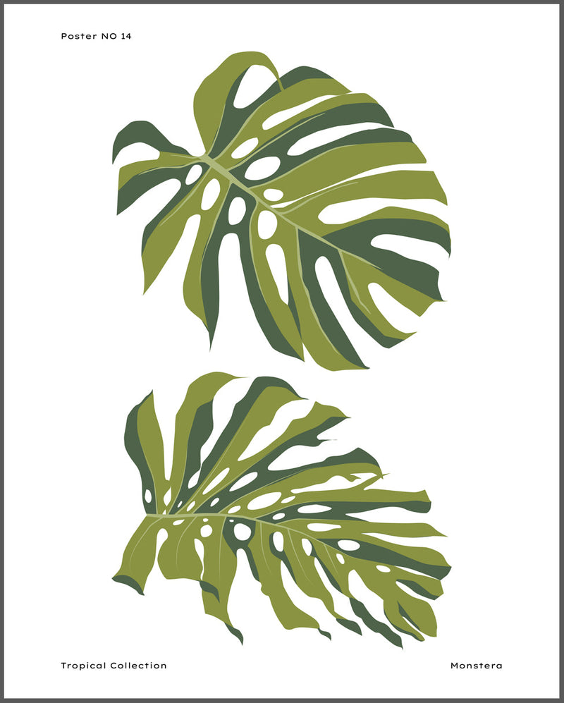 Monstera Tropical Poster