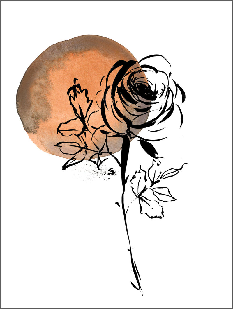 Orange Rose Poster