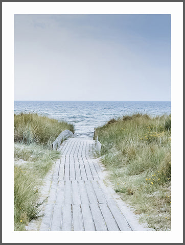 Path to Sea Poster