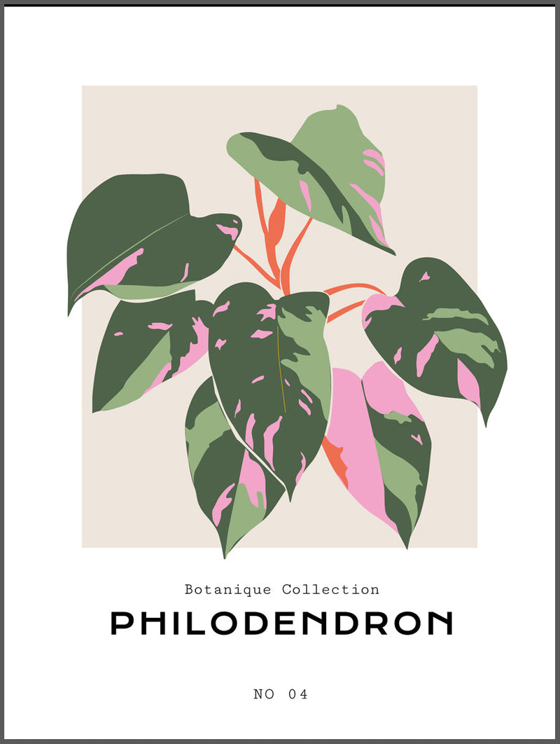 Philodendron Poster