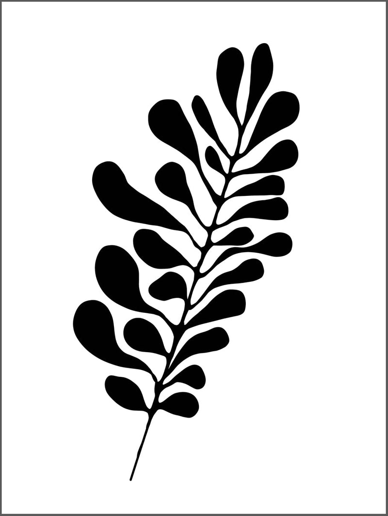 Plant in Black Poster