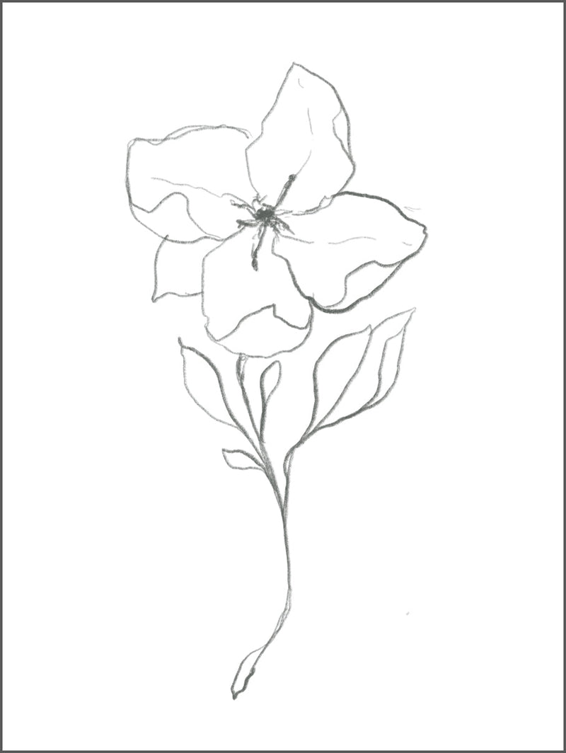 Pretty Flower Drawing Poster