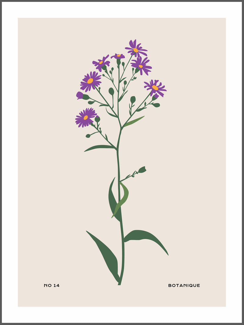 Small Fleur Botanique Poster