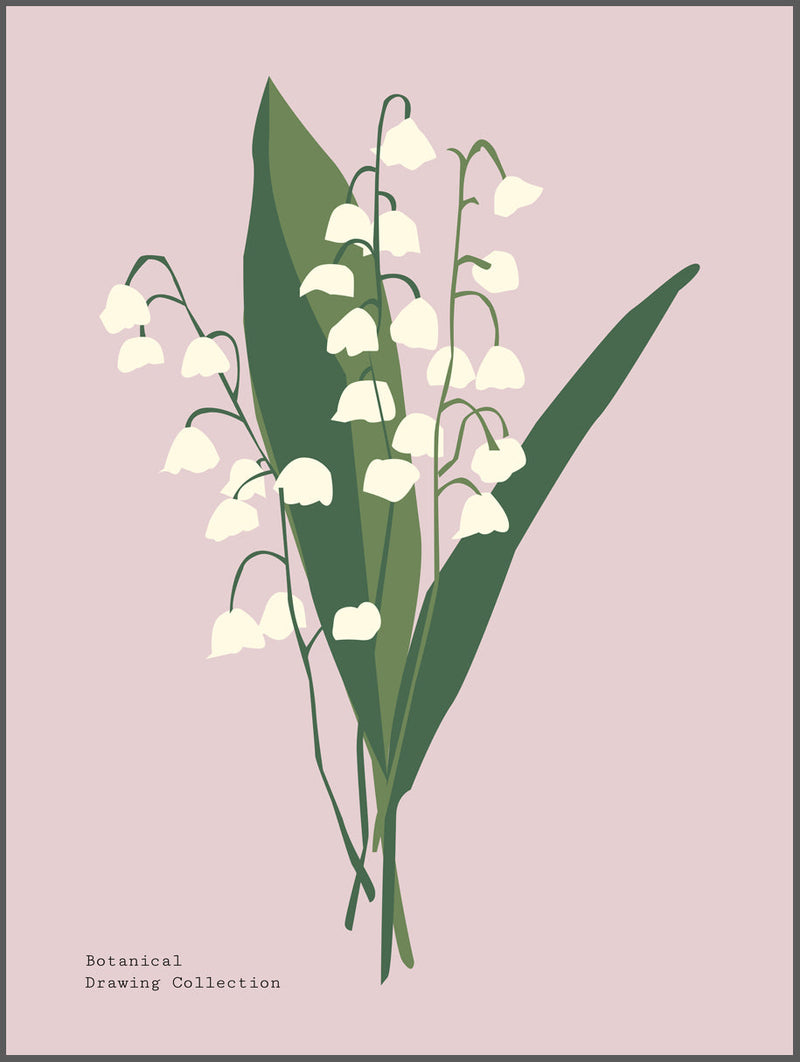 Spring White Flower Poster