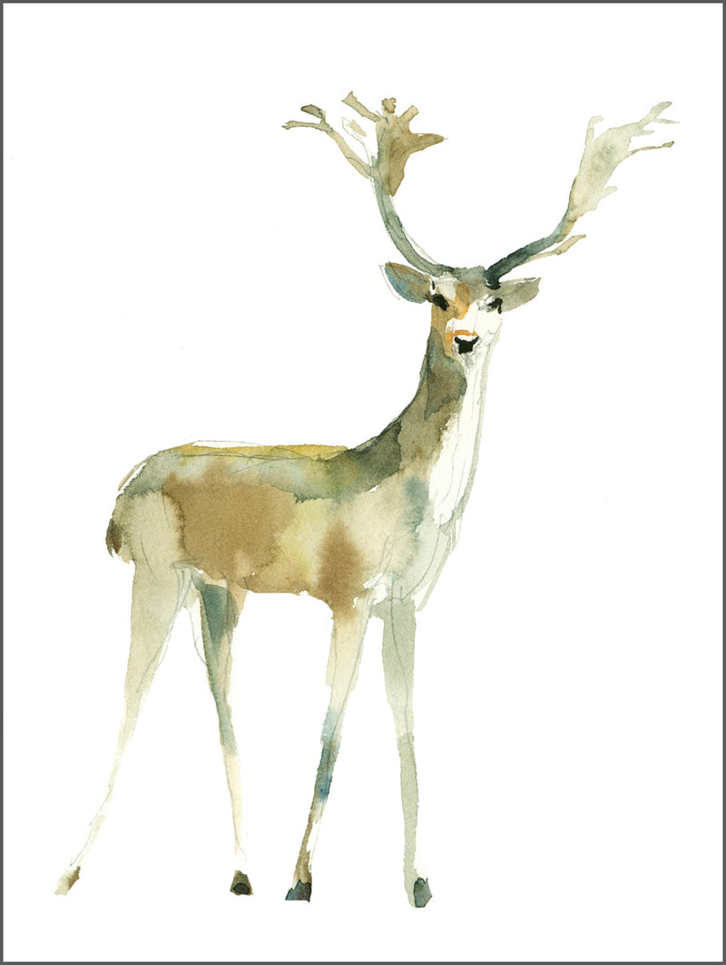 Standing Deer Poster