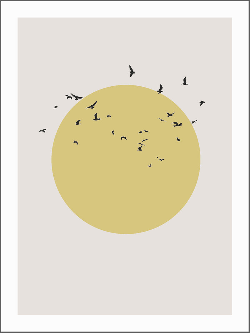 Sunset with Birds Poster