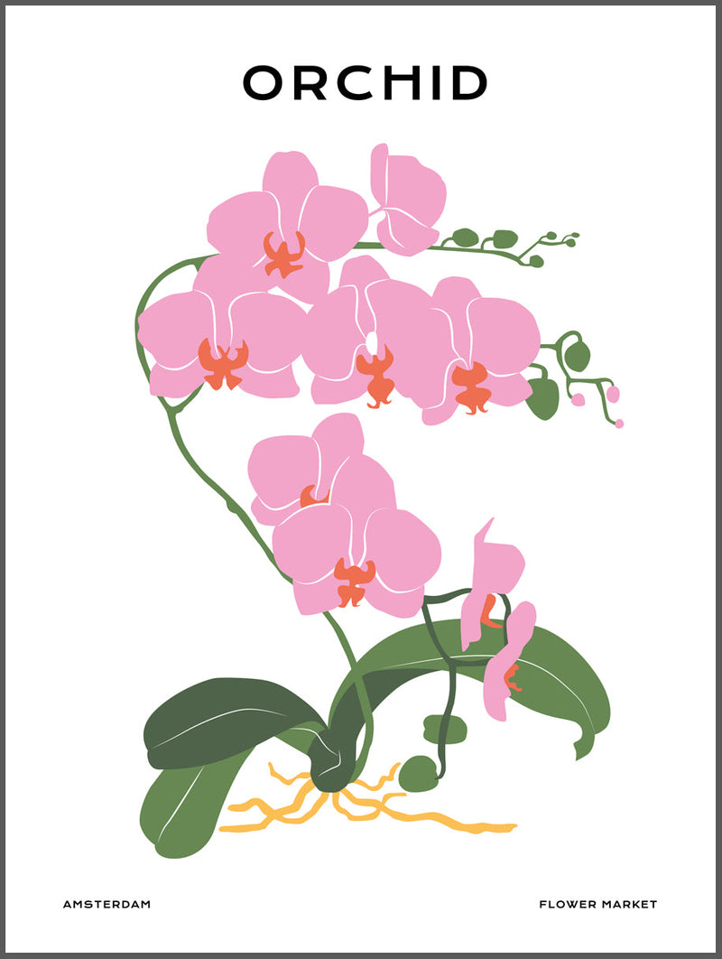 Tropical Orchid Poster