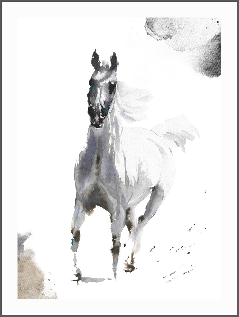 White Horse  Poster