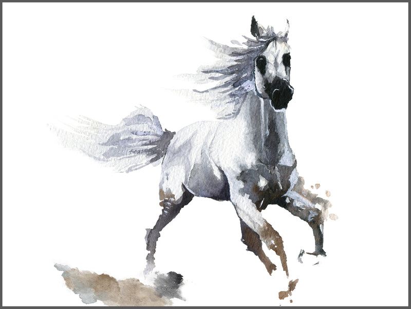 White Horse  Gallop Poster