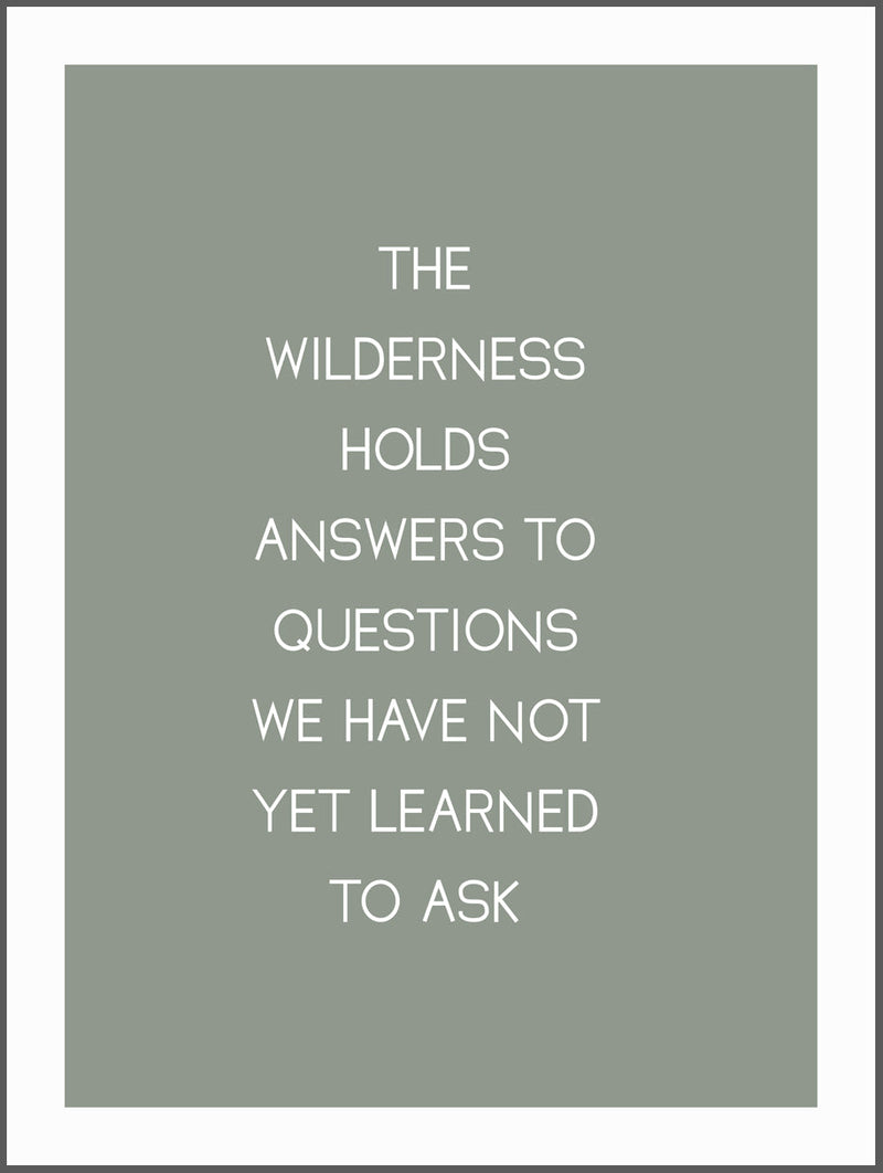 Wilderness Quote Poster
